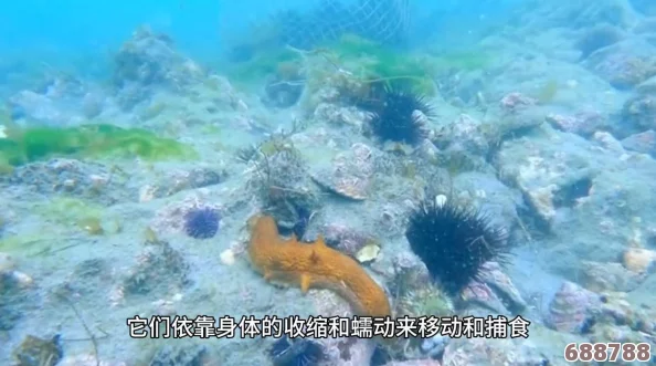 口袋妖怪：岩石系天敌与压制对象全解析！