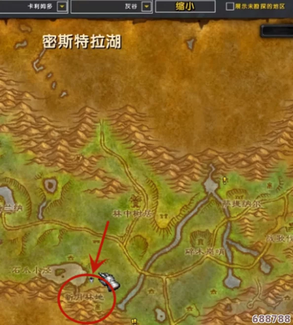 探索魔兽世界乌龟服：血精灵种族魅力与实力深度解析！