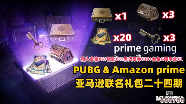 解锁PUBG亚马逊往期专属礼包，领取攻略全