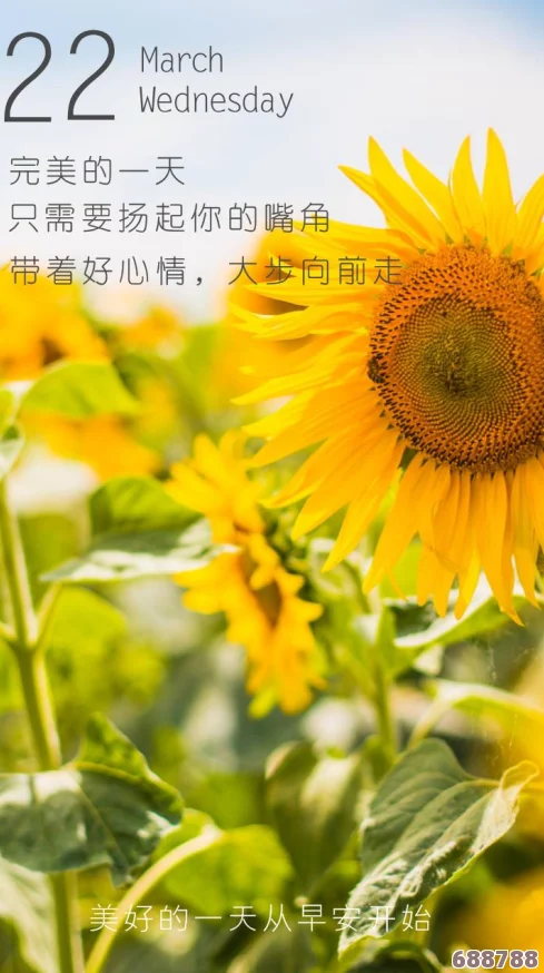 解锁完美一天秘籍：全方位攻略，打造你的梦想日程专享区！