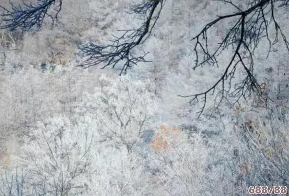 探索魔兽世界怀旧服：法师全技能盛宴，暴风雪等强力法术效果！