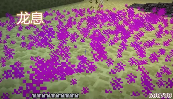 《我的世界》：龙息的神秘用途与强大功能全解析！