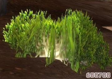 高效采集点：枯叶草与墓地苔密集区，速刷攻略大放送！